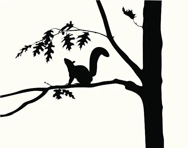 Vector illustration of Squirrel Oak Tree Vector Silhouette