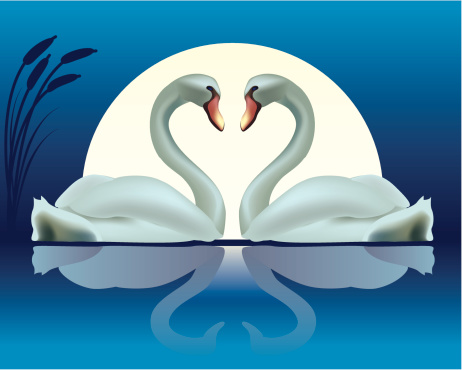 Heart swans in moonlight. File is conveniently layered and grouped for easy editing. File contains gradient mesh.