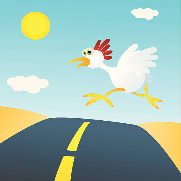 Chicken Crossing Road Classic riddle in a vector cartoon. scared chicken cartoon stock illustrations