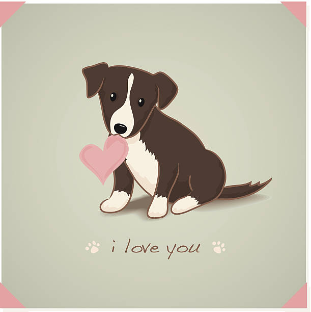 평편 코팅됨 보더콜리 강아지 - heart shape animal heart love symbol stock illustrations