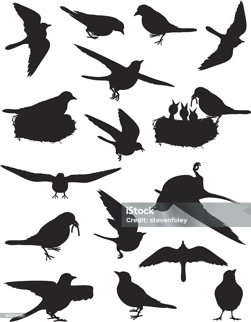 Birds of Spring EPS, High and Low Resolution JPGs included. In Silhouette stock vector