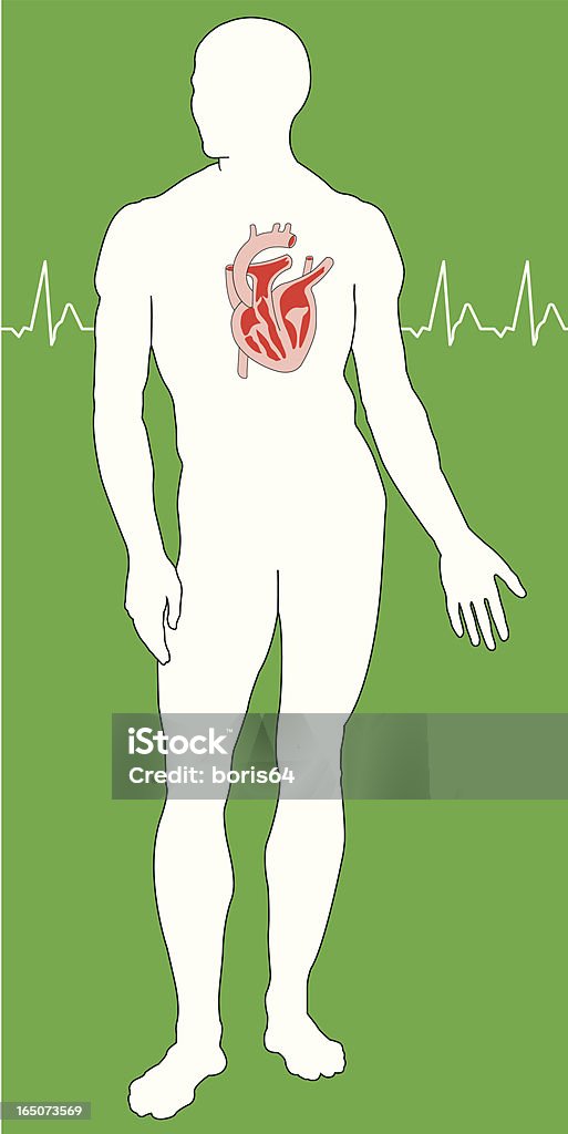 Coeur humain - clipart vectoriel de Anatomie libre de droits