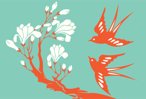 Vector Illustration of swallows & magnolia.
