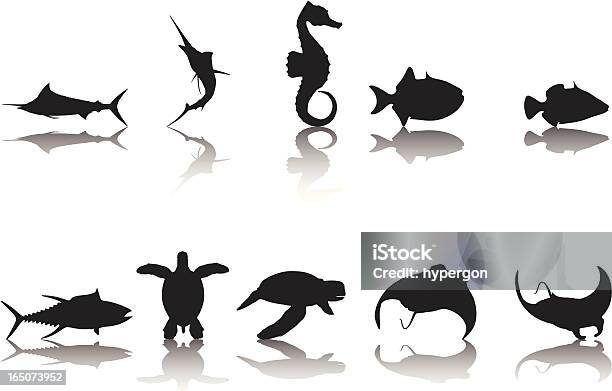 Fish Silhouette Collection Stock Illustration - Download Image Now - Manta Ray, Vector, Animal