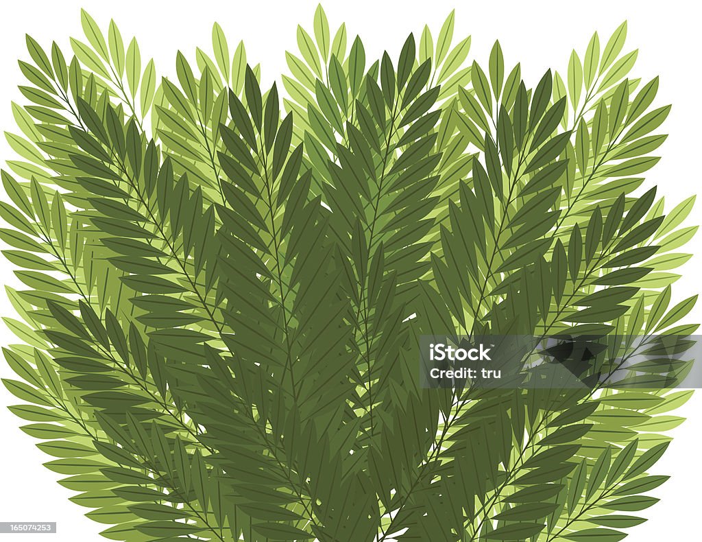 Palm Leaves фон - 2 цветовой схемы - Векторная графика Без людей роялти-фр�и
