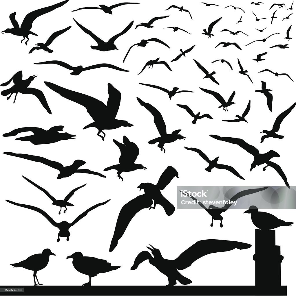 Ptaki - Grafika wektorowa royalty-free (Atak zwierzęcia)
