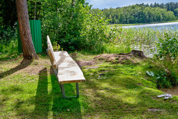 istock Wooden bench for relaxing on the lake shore 1650746112