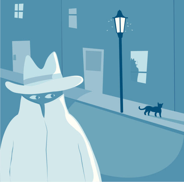 Hide and Seek A film noirish scene of a man in a panama hat and high collared overcoat with behind him a figure at a window. An old fashioned street lamp casts a long shadow from a black cat. film noir lighting stock illustrations