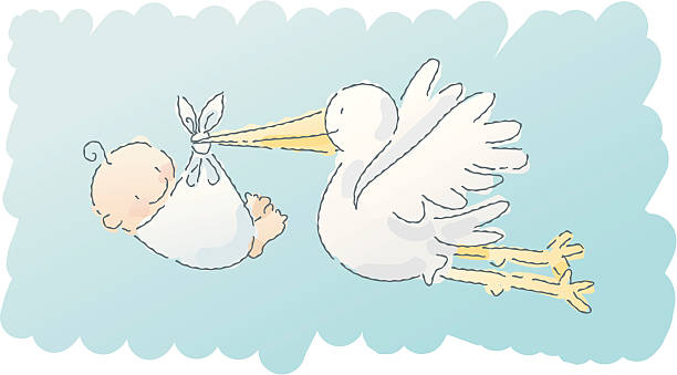 ilustrações de stock, clip art, desenhos animados e ícones de scribbles: cegonha - bebés meninos