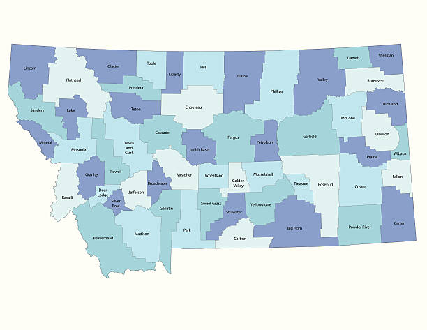 карта штата монтана-графство - montana stock illustrations