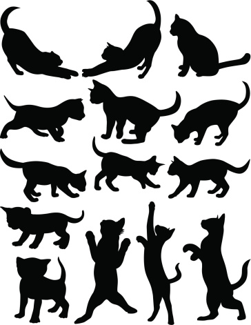 Others Cats silhouette