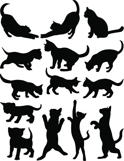 Vector illustration of Cats 1