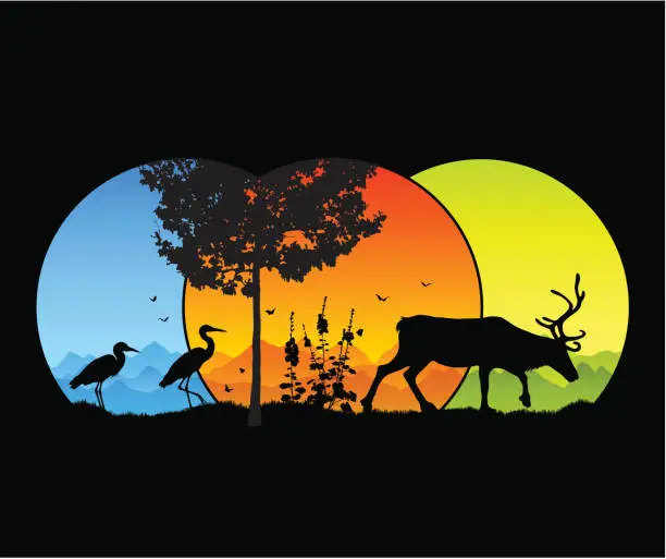 Vector illustration of Wildlife through the seasons