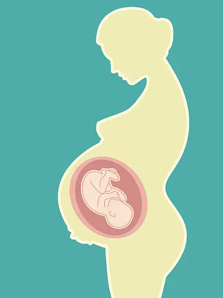 Vector illustration of being pregnant