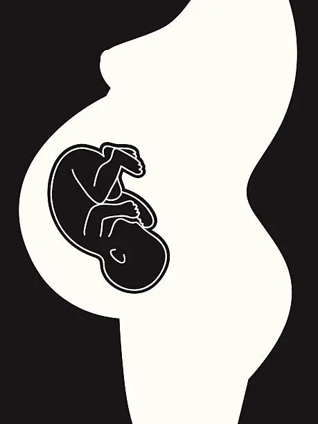 Vector illustration of baby in my belly