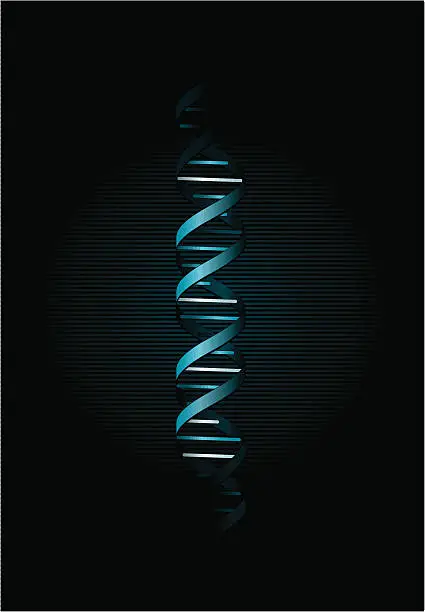 Vector illustration of Vector illustration of DNA strand