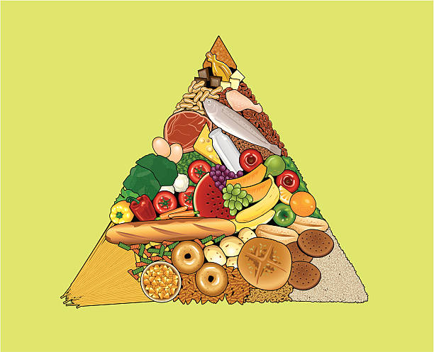 ピラミッドフードガイド - food pyramid food healthy eating spaghetti点のイラスト素材／クリップアート素材／マンガ素材／アイコン素材