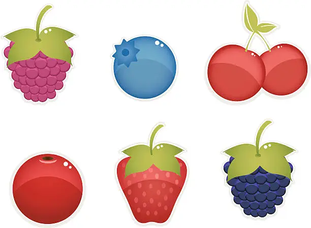 Vector illustration of berries clipart