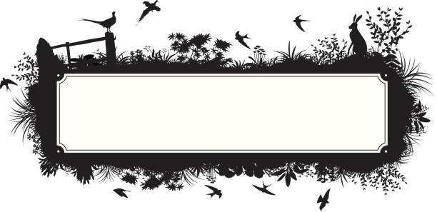 Rural text box "A text box surrounded by a silhouetted rural scene, with a hare, birds, plants and flowers. The text box is on one layer ( the inner line of the box can easily be reversed if you want white text on a black box) whilst all the other elements are on the other layer. All the individual elements which make up the silhouette are separate shapes so can all be easily re-arranged." silhouette of hare stock illustrations