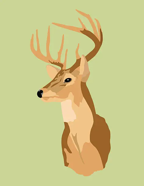 Vector illustration of Trophy Deer