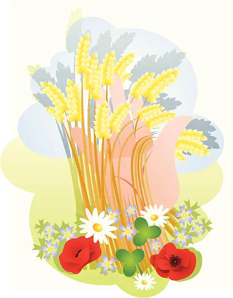 Vector illustration of Wheat harvest