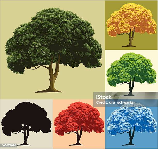 Дерево 4 Года — стоковая векторная графика и другие изображения на тему Дерево - Дерево, Ива, Оливковое дерево