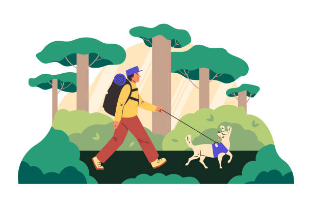 illustrations, cliparts, dessins animés et icônes de bannière pour l’activité de voyage et de randonnée écotouristique, illustration vectorielle isolée. - walking tourist hiking computer graphic