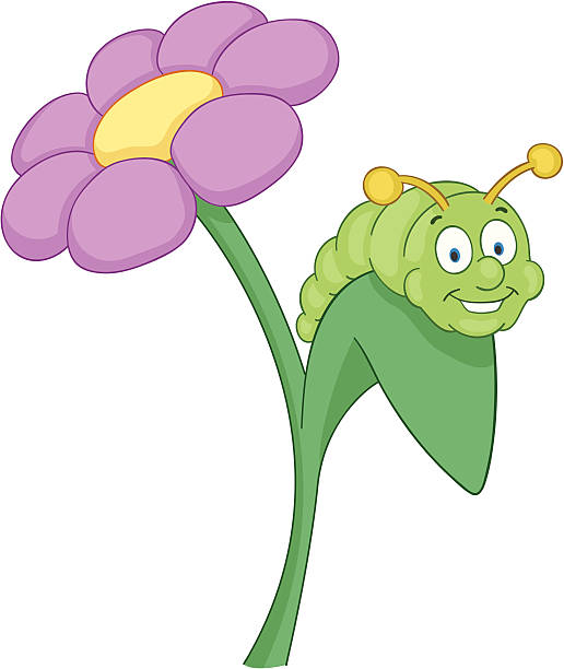 Inchworm vector art illustration