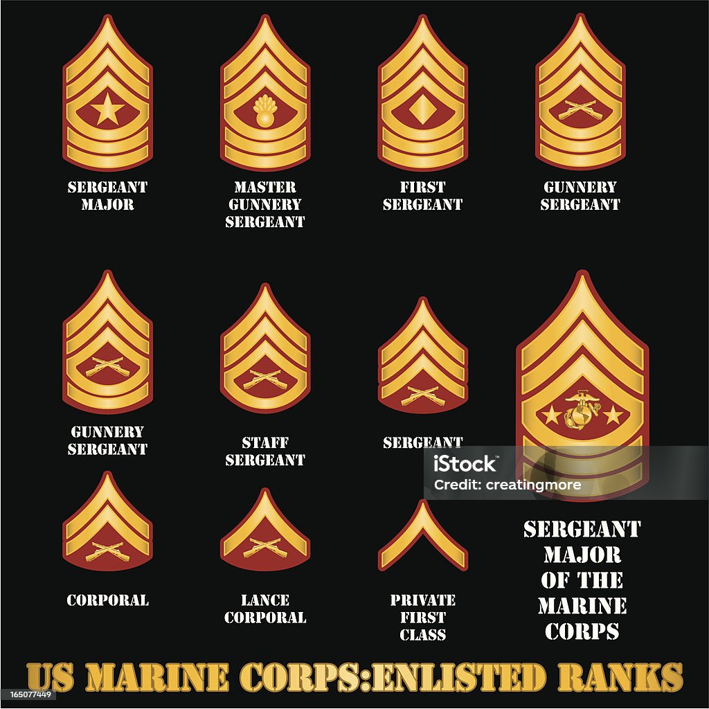 US Marine Corps Enlisted Ranks The insignia of enlisted ranks in the US Marine Corps. Armed Forces stock vector