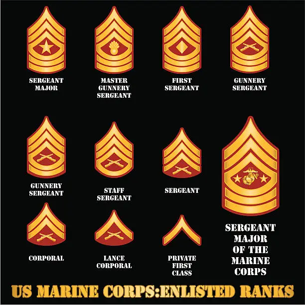 Vector illustration of US Marine Corps Enlisted Ranks