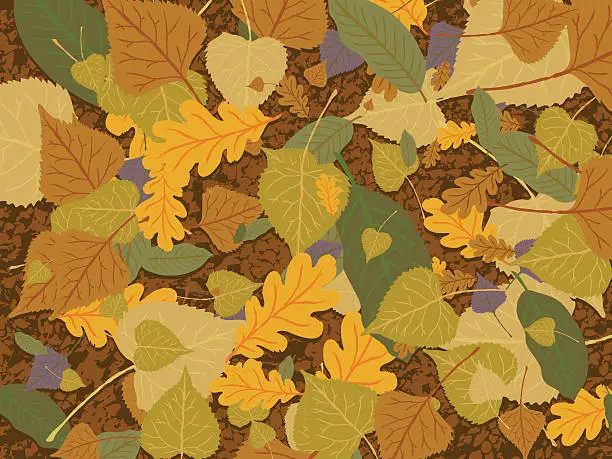 Vector illustration of Autumn Leaves