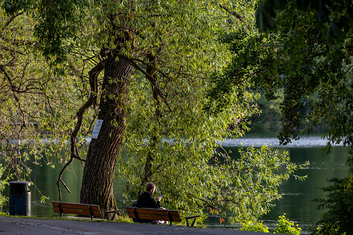 Stockholm, Sweden July 6, 2023 A man sits on a park bench on Trekanten lake in Liljeholmen.