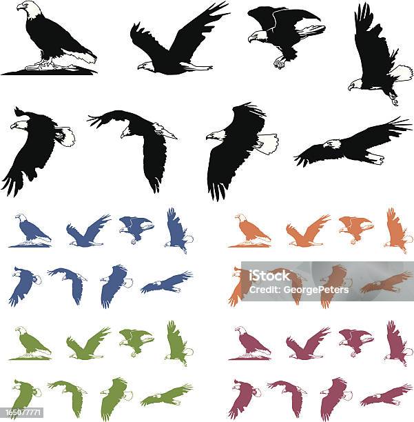 Bald Eagle Silhouettes Stock Illustration - Download Image Now - Bald Eagle, In Silhouette, Flying