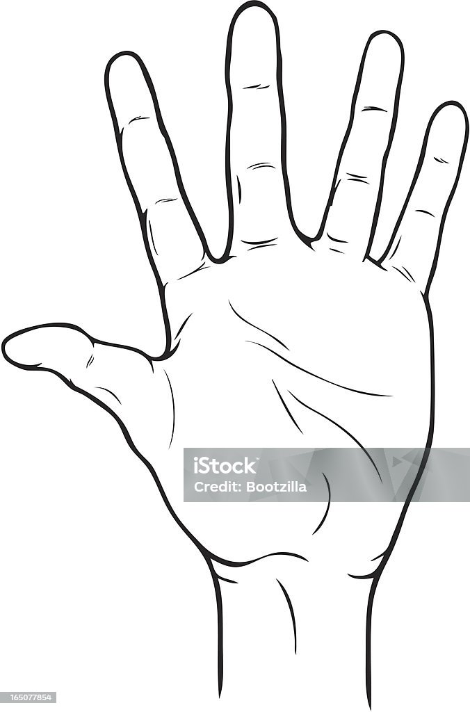 Open Hand Black and white illustration of open hand Anatomy stock vector