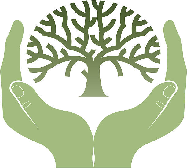 zielone palce - family tree tree hands cupped environment stock illustrations