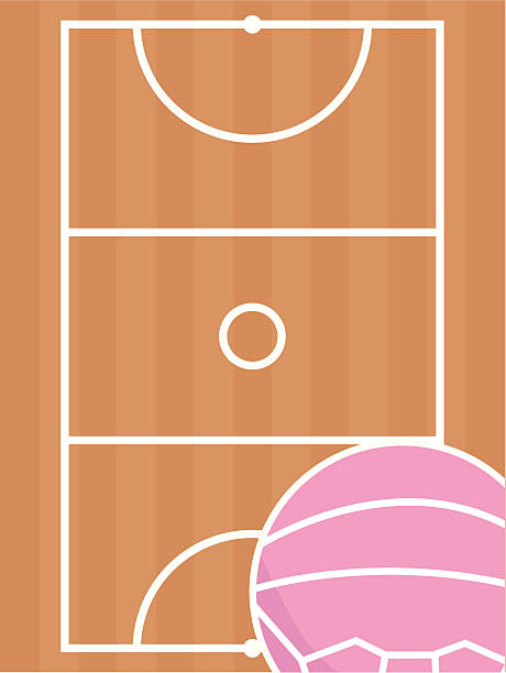 Netball Court and Ball vector art illustration