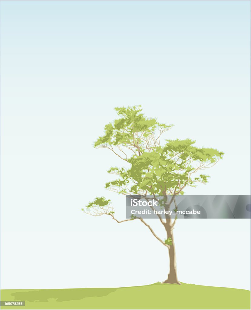 Unbewegliche Tree - Lizenzfrei Ast - Pflanzenbestandteil Vektorgrafik