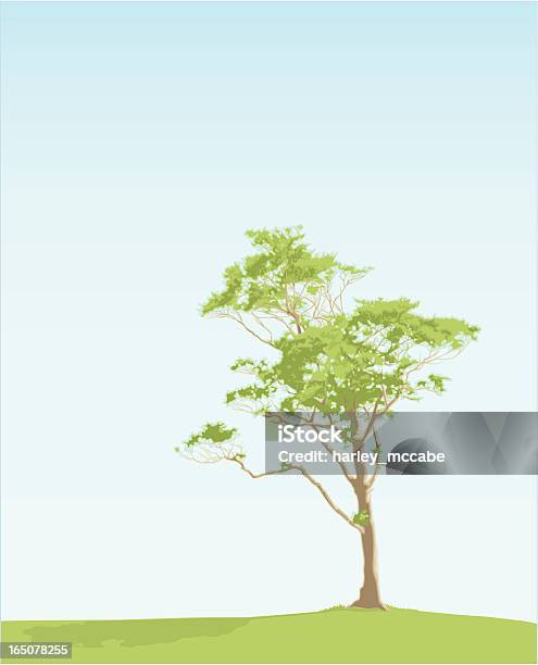 Затяжные Дерево — стоковая векторная графика и другие изображения на тему Без людей - Без людей, Буковое дерево, Векторная графика