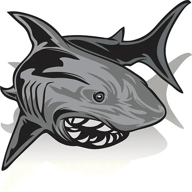 Vector illustration of Shark swimming