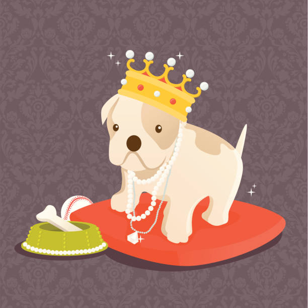 your highness: our pampered pets Our pampered pets. A bulldog puppy wearing a crown and various jewelry, sitting on a red velvet pillow, feasting on a bone contained in a food bowl made with pearls and jewels. A grayish purple damask pattern is used in the background. diamond necklace stock illustrations