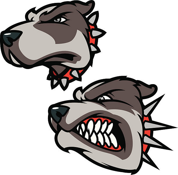 Pitbulls This is a Pitbull file with two head options. The file is provided in illustrator CS2, version 8 EPS and a 12x12 inch 300dpi high-rez jpeg. nasty dog stock illustrations