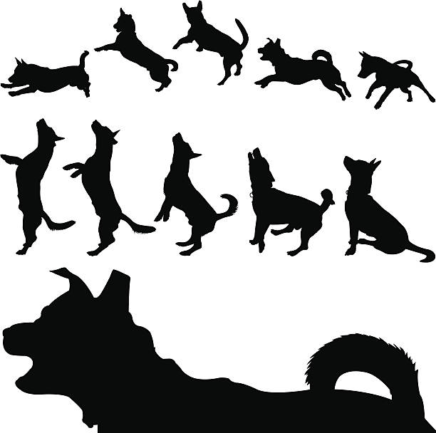 stockillustraties, clipart, cartoons en iconen met dog silhouette series - illustraties van continuïteit