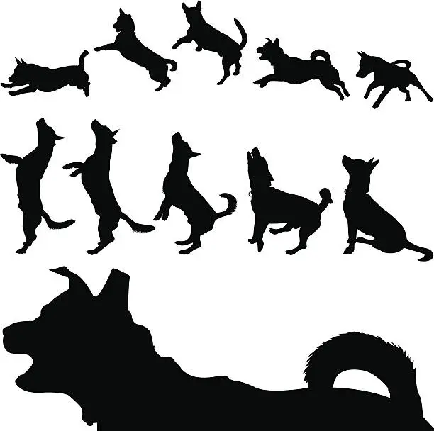 Vector illustration of Dog Silhouette Series