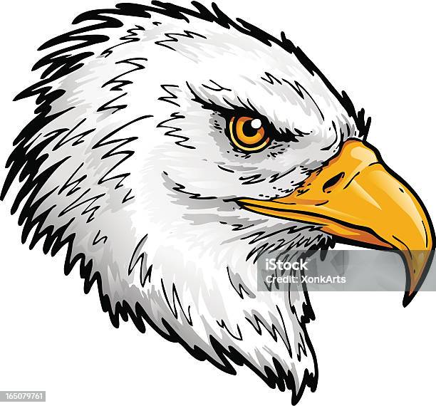 Bald Eagle Testa - Immagini vettoriali stock e altre immagini di Aquila - Aquila, Illustrazione, Aquila di mare testabianca