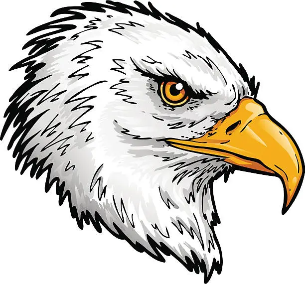 Vector illustration of Bald Eagle head