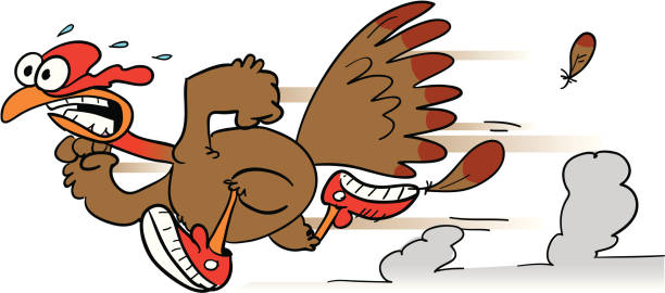 Turkey Running Scared Vector 70+ Running Scared Turkey Stock Illustrations, Royalty-Free Vector ...