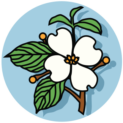 A vector icon of a dogwood flower.