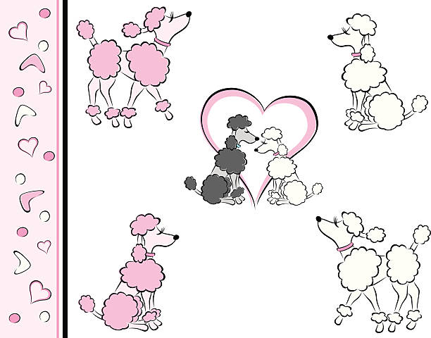 Różowe, białe Poodles, Love – artystyczna grafika wektorowa