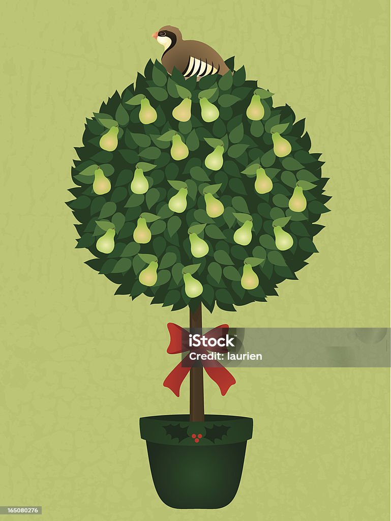 Partridge in a Pear Tree A partridge sitting in a pear tree as a gift for Christmas with full texture background. Partridge stock vector