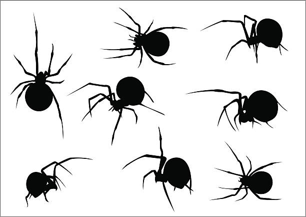 набор из 8 вектор страшно паучками силуэты - black widow spider stock illustrations